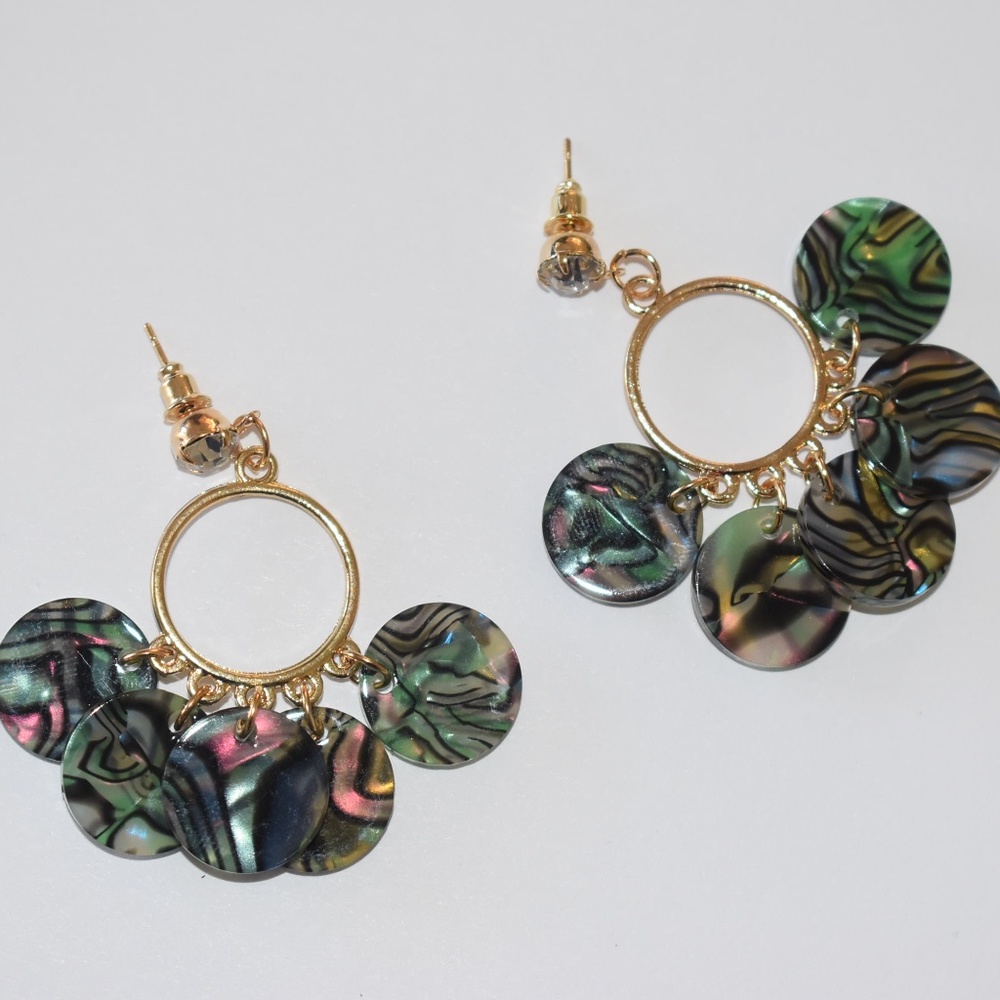 Earrings. NWOT